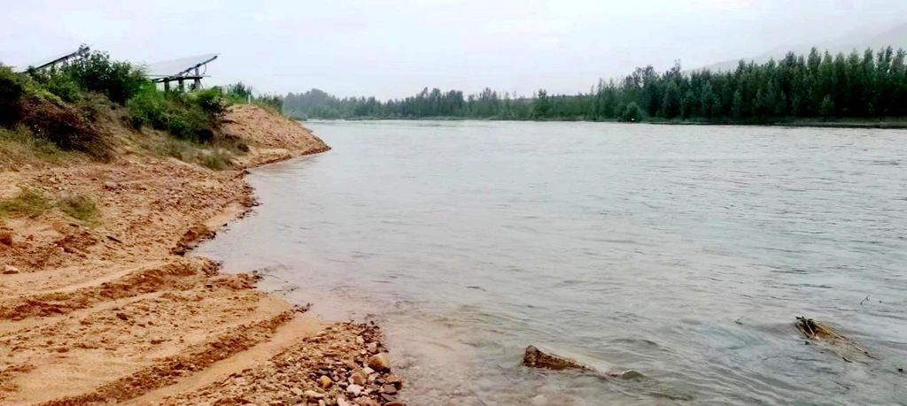 1721121138862370.jpg 1721121138862370.jpg