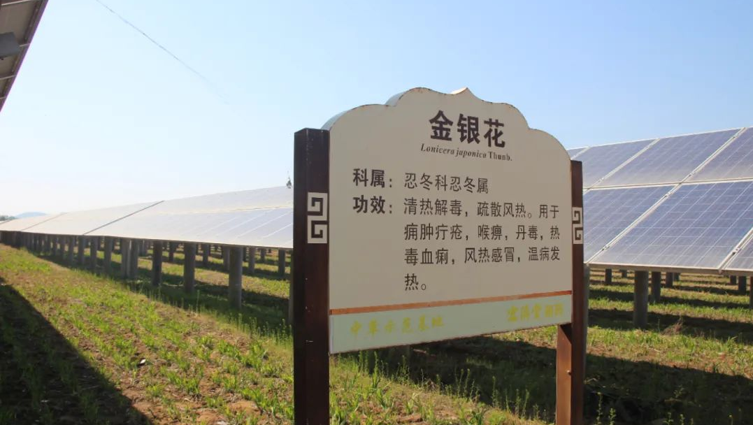 1723454497364515.png 1723454497364515.png