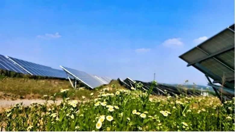 1749430181384289.jpg 12.jpg